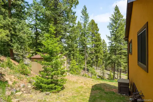 10090 Blue Sky Trail, Conifer, CO 80433, photo 25