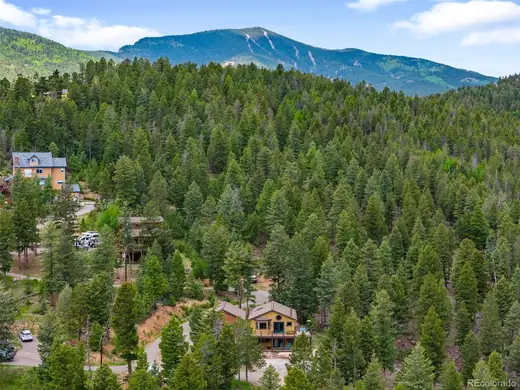10090 Blue Sky Trail, Conifer, CO 80433, photo 27