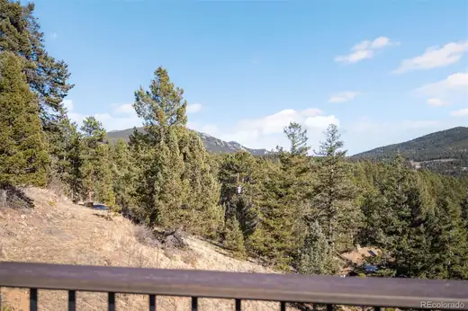 10180 Blue Sky Trail, Conifer, CO 80433, photo 14