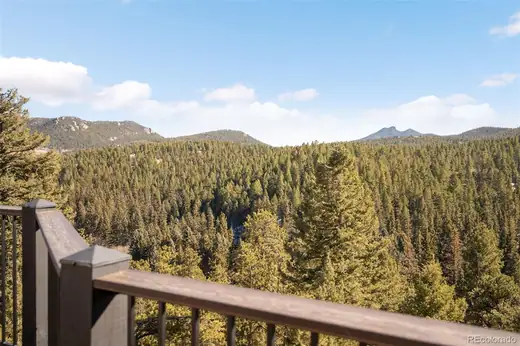 10180 Blue Sky Trail, Conifer, CO 80433, photo 15