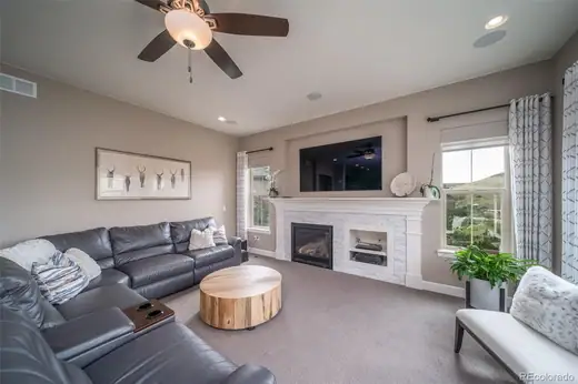 10646 Ladera Point, Lone Tree, CO 80124, photo 9