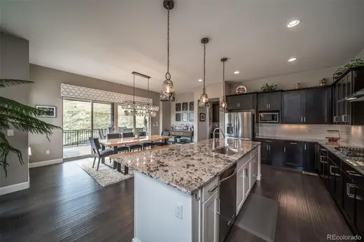 10646 Ladera Point, Lone Tree, CO 80124, photo 11