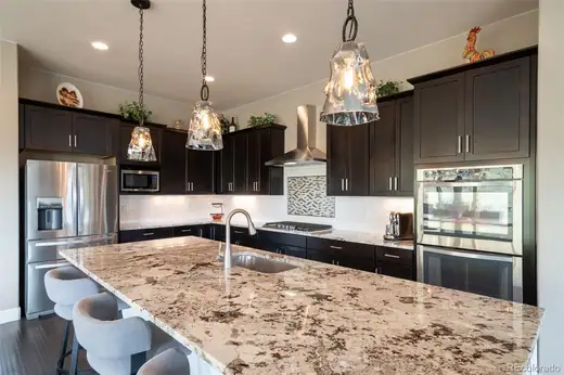 10646 Ladera Point, Lone Tree, CO 80124, photo 12