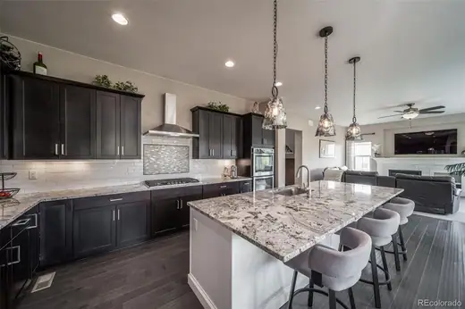 10646 Ladera Point, Lone Tree, CO 80124, photo 13
