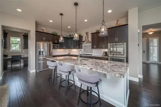 10646 Ladera Point, Lone Tree, CO 80124, photo 16