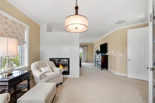 10777 Sundial Rim Road, Highlands Ranch, CO 80126, photo 24