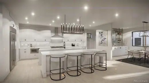 1118 S Race Street, Denver, CO 80210, photo 3