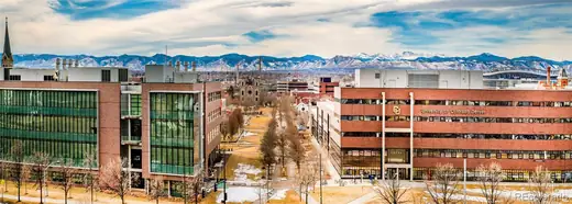 1350 Lawrence Street Unit: 2D, Denver, CO 80204, photo 25