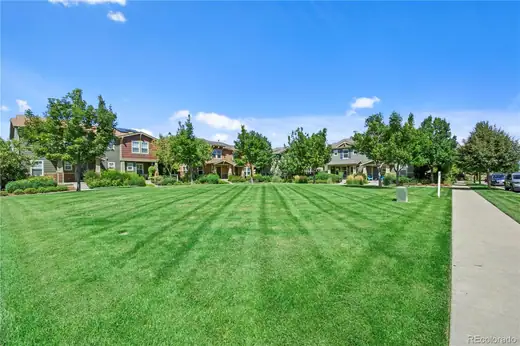 3593 Akron Street, Denver, CO 80238, photo 6