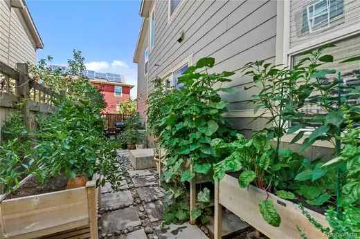 3593 Akron Street, Denver, CO 80238, photo 7