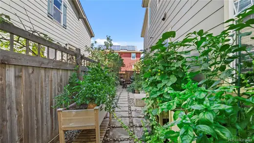 3593 Akron Street, Denver, CO 80238, photo 8