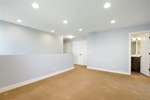 3593 Akron Street, Denver, CO 80238, photo 30