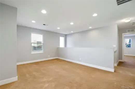 3593 Akron Street, Denver, CO 80238, photo 33