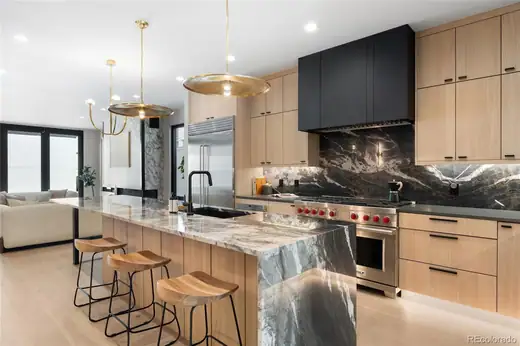 417 N Madison Street, Denver, CO 80206, photo 2