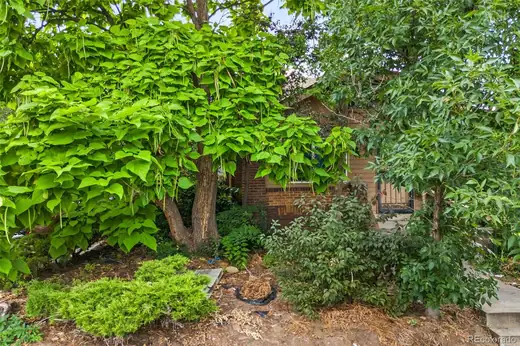 4509 Stuart Street, Denver, CO 80212, photo 32
