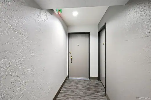 551 N Pearl Street Unit: 207, Denver, CO 80203, photo 4