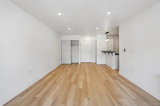 551 N Pearl Street Unit: 207, Denver, CO 80203, photo 7