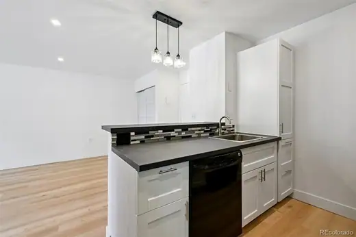 551 N Pearl Street Unit: 207, Denver, CO 80203, photo 9