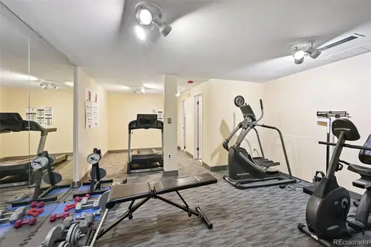 551 N Pearl Street Unit: 207, Denver, CO 80203, photo 23
