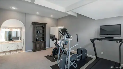 7751 S Glencoe Court, Centennial, CO 80122, photo 21