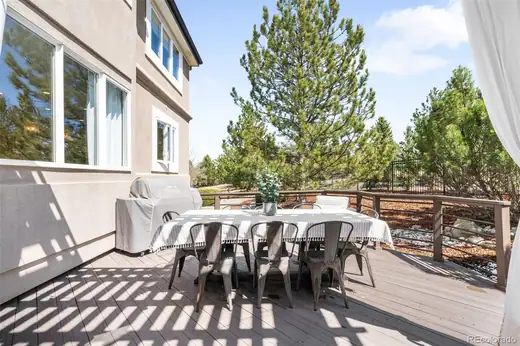 8390 Coyote Drive, Castle Pines, CO 80108, photo 13