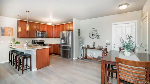 9258 Rockhurst Street Unit: 108, Highlands Ranch, CO 80129, photo 6