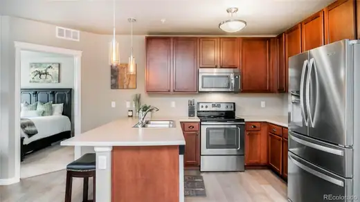 9258 Rockhurst Street Unit: 108, Highlands Ranch, CO 80129, photo 7