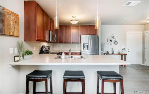 9258 Rockhurst Street Unit: 108, Highlands Ranch, CO 80129, photo 9