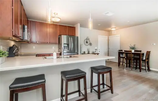 9258 Rockhurst Street Unit: 108, Highlands Ranch, CO 80129, photo 10