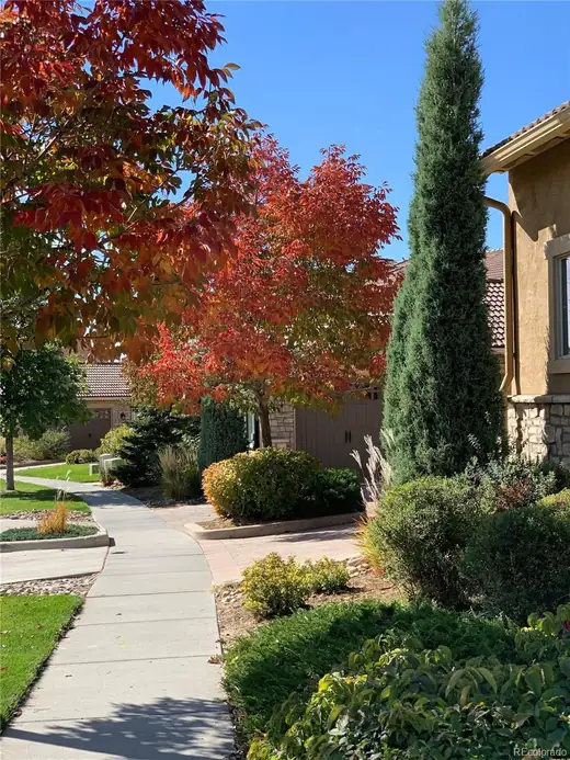 9281 Viaggio Way, Highlands Ranch, CO 80126, photo 37