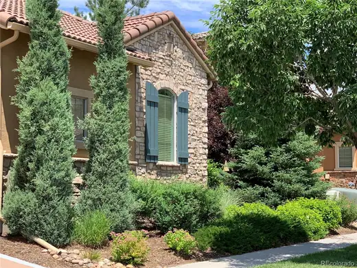 9281 Viaggio Way, Highlands Ranch, CO 80126, photo 38