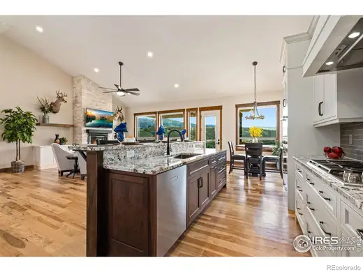 9776 Running Brook Lane, Loveland, CO 80538, photo 10