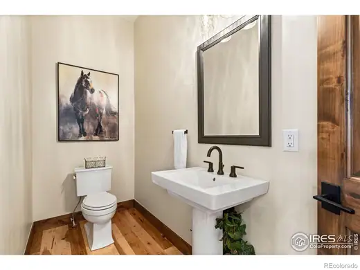 9776 Running Brook Lane, Loveland, CO 80538, photo 11