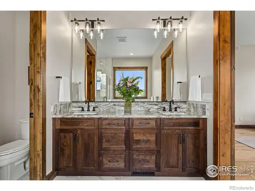 9776 Running Brook Lane, Loveland, CO 80538, photo 14